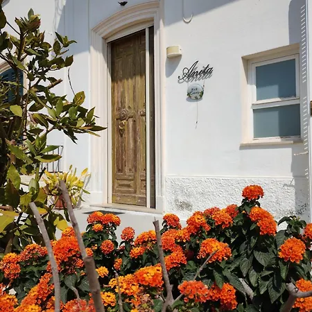 Cesar Bed & Breakfast