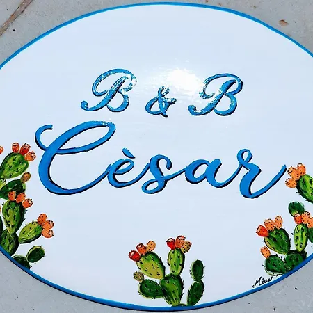 Cesar Bed & Breakfast