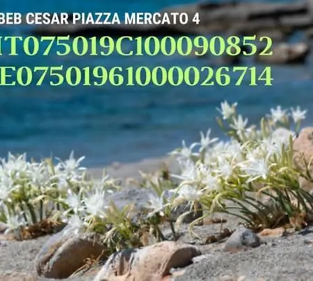 Bed & Breakfast Cesar